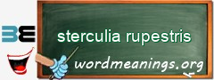 WordMeaning blackboard for sterculia rupestris